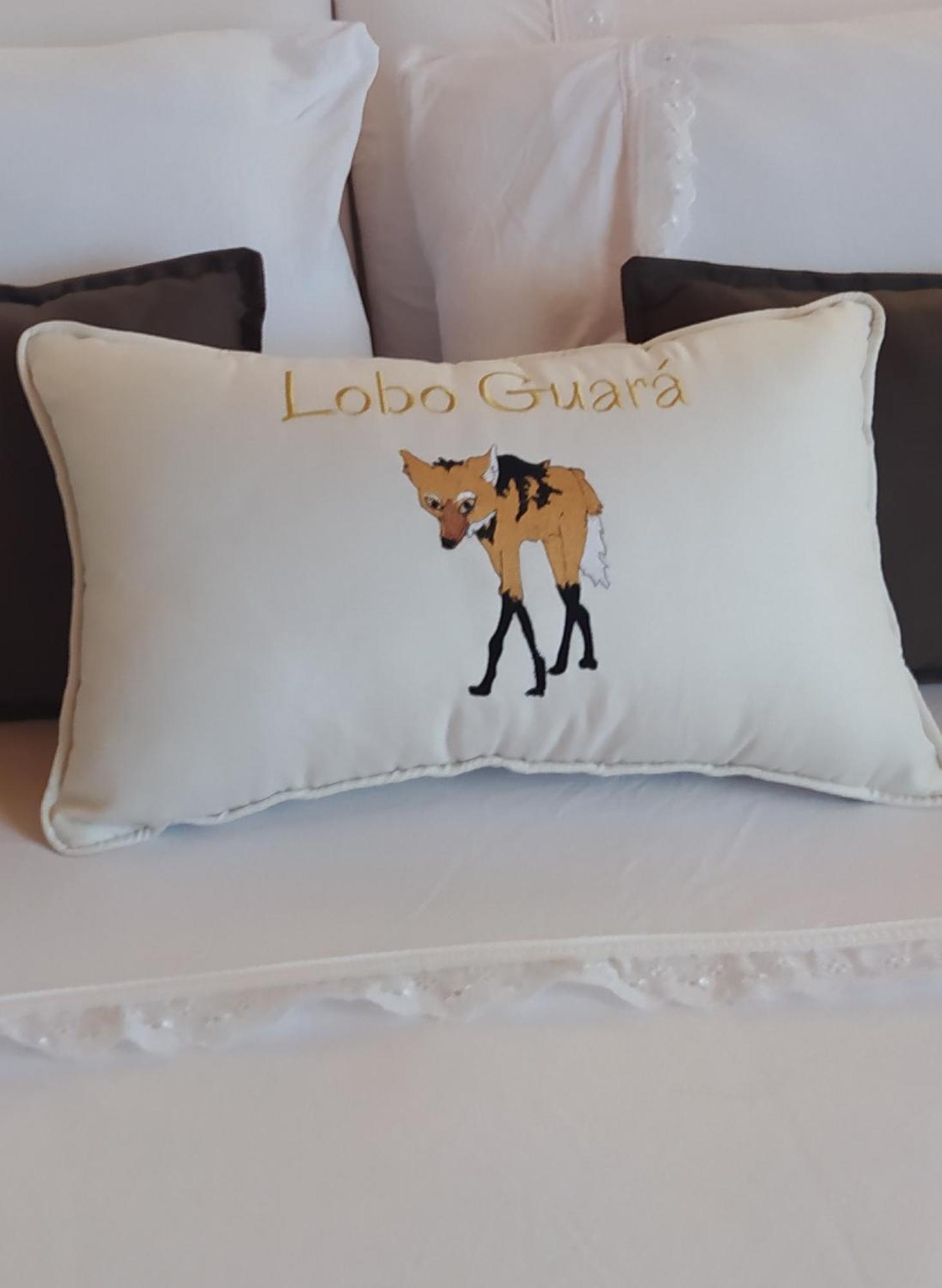 Lobo Guara Hospedagem Loft Alto Paraíso de Goiás Bagian luar foto